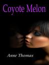 Anne Thomas's Avatar