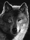 clarkjm11's Avatar
