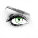 Harley Palmer's Avatar