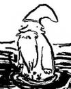 swampwizard's Avatar