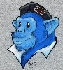 Sgt Steve's Avatar