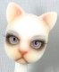 Elfyn's Avatar