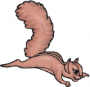 The Tree Squirre's Avatar