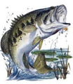 dbassman's Avatar