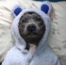 B-Dizzle's Avatar