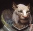CalvaryZ's Avatar