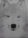 MWMouse3's Avatar