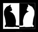 twc's Avatar