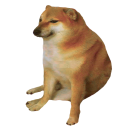 PamGaoshow's Avatar