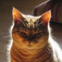 Furlined Petter's Avatar