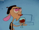 bob felice's Avatar