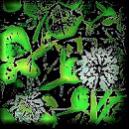 commonclover's Avatar