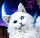 Stella38's Avatar