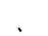 lowracer's Avatar