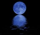 Blue Moon's Avatar