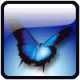blueyes's Avatar