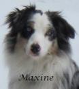 Maxine'sMom's Avatar