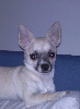 kerinta's Avatar